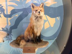 -陕西自然博物馆