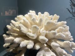 -天津自然博物馆