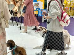 -帕帕拉兹宠物(亚洲旗舰店)