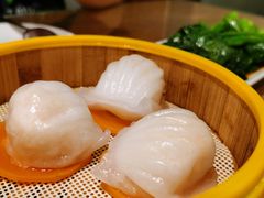 招牌虾饺皇-蓝记茶餐厅(勒泰店)