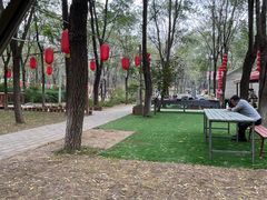 -草根堂农场