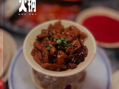 -蜀大侠火锅(森兰花园城店)