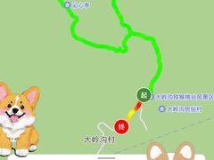 -大岭沟猕猴桃谷风景区