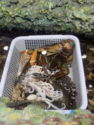 -钓虾工场·钓虾·赶海(回龙观店)