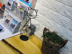 -宠小格时尚宠物生活馆(唐镇店)