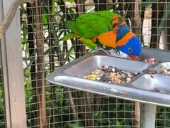 -大连森林动物园