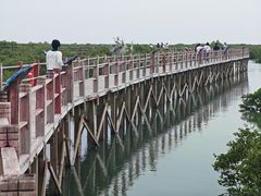 -北海金海湾红树林生态旅游区