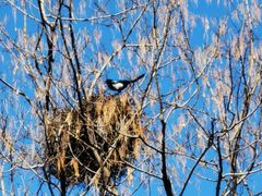 -终南山南五台景区