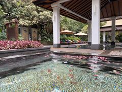 -厦门日月谷温泉渡假村