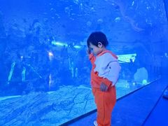 -石家庄极地海洋世界