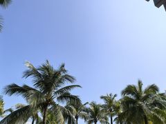 -深圳湾公园(南山区)