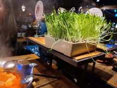 -湊湊火锅·茶憩(杭州湖滨银泰in77店)