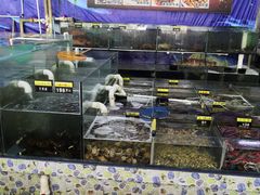 -明记海鲜大排档(巽寮湾店)