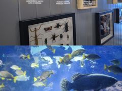 -海合安武汉极地海洋公园