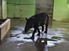 -石家庄市动物园