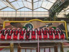 -南宫五洲植物乐园