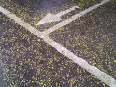 -安徽工业大学(秀山校区)