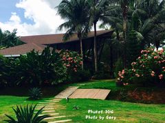 -椰树岛海滩度假村