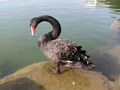 -上海怡沁园度假酒店