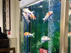-同城四季爆肚涮羊肉(安华里店)