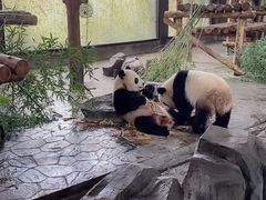 -野生动物园-停车场