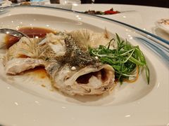 清蒸鲈鱼-红棉中餐厅·广州海航威斯汀酒店
