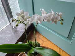 -南堂馆·新川菜(春熙路店)