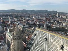 -斯蒂芬主教座堂(Stephansdom)
