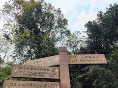 -太平山顶