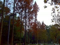 -四川大学(望江校区)