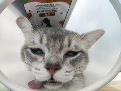 -爱诺耐芙动物医院(万博店)