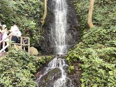 -芦茨金富饭庄·25年老字号·专做稻草鸡