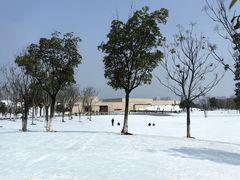 -盘龙城国家考古遗址公园