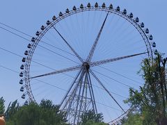 -石家庄市动物园