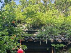 -鲤院·新中式美学·庭院餐厅(夫子庙店)