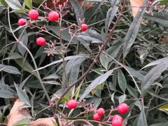 -长安大学(北校区)