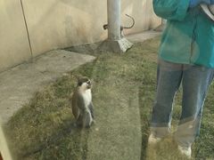 -合肥野生动物园
