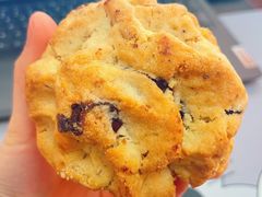 -CHOCMONS巧克怪兽(屏风街店)