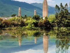 -洱海月湿地公园