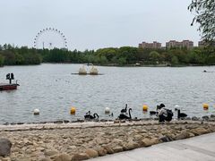 -上海野生动物园