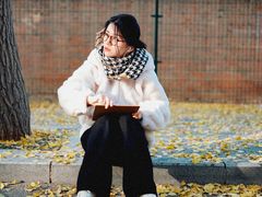 -三里屯东五街银杏大道