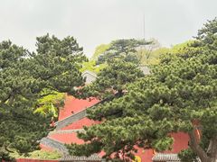 -妙峰山风景名胜区