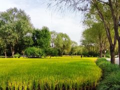 -北坞公园