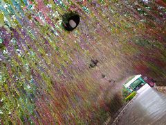 -郑州方特梦幻王国