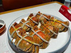 -杨氏青龙虾·羊蝎子(托乐嘉店)