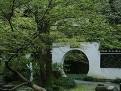-虎跑公园