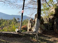 -黑龙潭公园