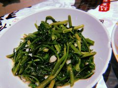 -壹盏灯(惠农店)