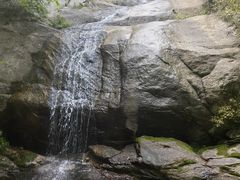 -王顺山国家森林公园