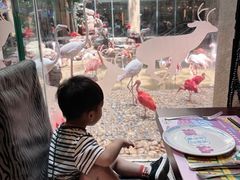 -白虎自助餐厅·真老虎·景观自助餐厅(广州长隆酒店)